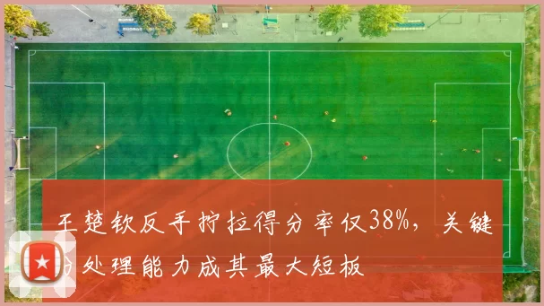 王楚钦反手拧拉得分率仅38%，关键分处理能力成其最大短板