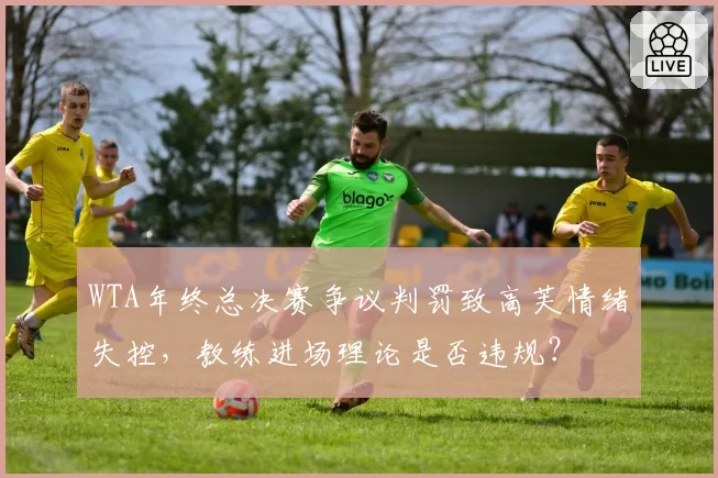 WTA年终总决赛争议判罚致高芙情绪失控，教练进场理论是否违规？
