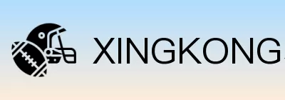 XINGKONG星空体育 logo